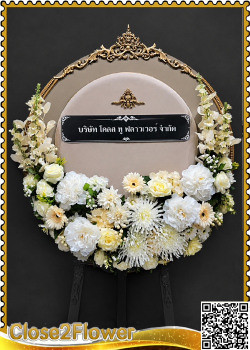 MP102 �ǧ����Ẻ�������� ǧ��� �բ��