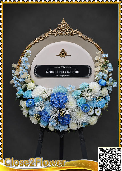 MP202 �ǧ����Ẻ�������� ǧ��� �տ��